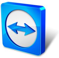 teamviewer vpn status